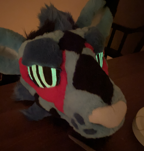 My fursuit head in dim lighting with the white parts glowing vividly due to the long exposure nature of the photograph.