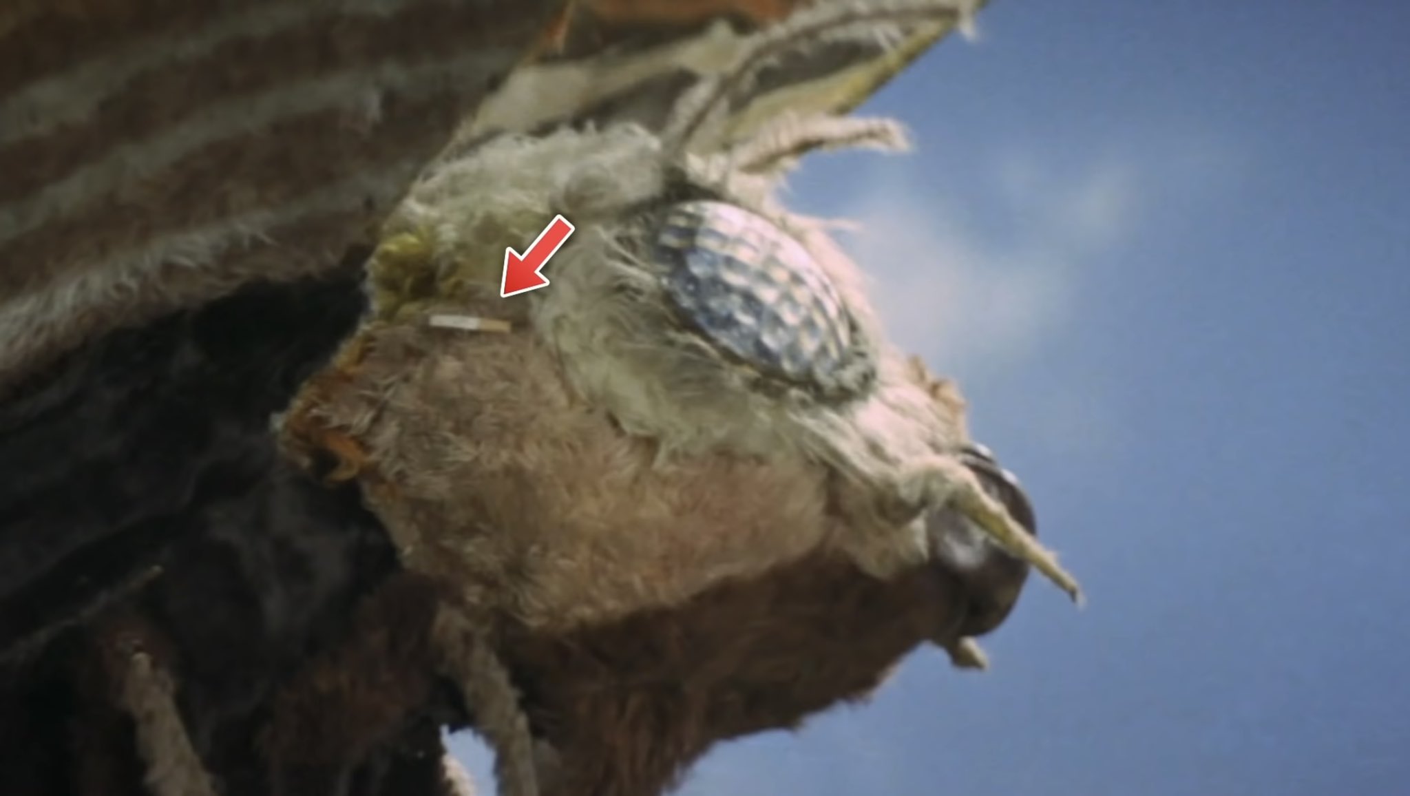 The Mothra puppet with a cigarette butt stuck to the fur of its head, with a small red arrow pointing to it.