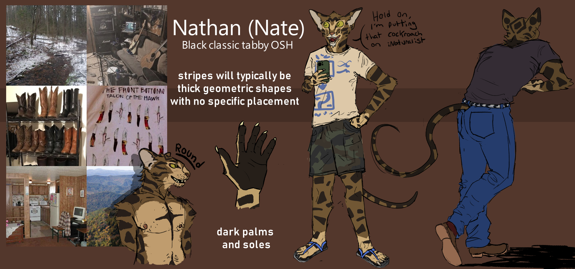 Reference sheet for a brown tabby cat anthro man named Nathan. He is skinny and associated with east coast forest and midwest emo aesthetics.