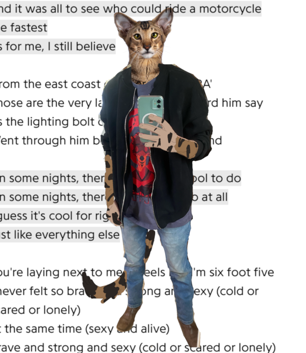 A real life selfie of myself with a real photo of a tabby oriental shorthair cat photoshopped over my face. Every place where my skin would be exposed, I've drawn over it to look like it's my fursona. In the background are the lyrics to Sexy and Alive by The Front Bottoms.